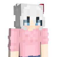 tokaua's Minecraft Skin