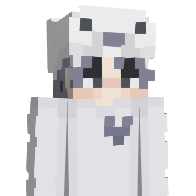 qRobbe's Minecraft Skin