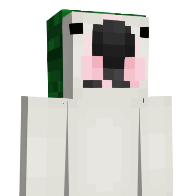 Vaida's Minecraft Skin