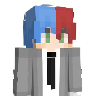 Aracnedix's Minecraft Skin