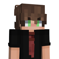 Nielsgamer2009's Minecraft Skin