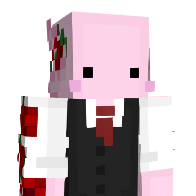 11PINGU11's Minecraft Skin