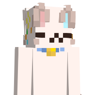 shork_kot's Minecraft Skin