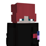 bekvizz's Minecraft Skin
