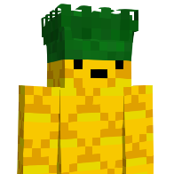 NarrowFerret614's Minecraft Skin