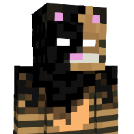 Naamlooyz's Minecraft Skin