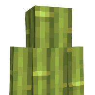 Xanior's Minecraft Skin