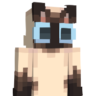 x_x9's Minecraft Skin