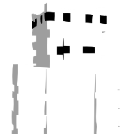 SL33PY_TYL4R's Minecraft Skin