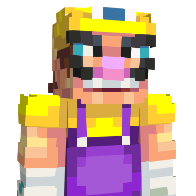 pckx's Minecraft Skin