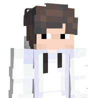 noli1x1's Minecraft Skin
