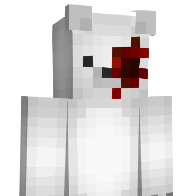 BialyMis's Minecraft Skin