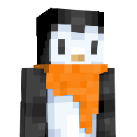 Voiidz0001's Minecraft Skin