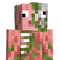 KiddieDidd1er22's Minecraft Skin