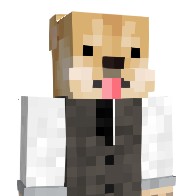 DogeVEVO's Minecraft Skin
