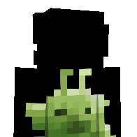 willerrr's Minecraft Skin
