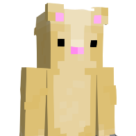 NotWzl's Minecraft Skin