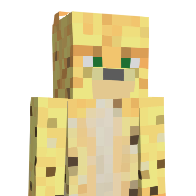 toycat's Minecraft Skin