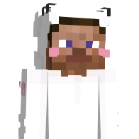 kosiarka239's Minecraft Skin