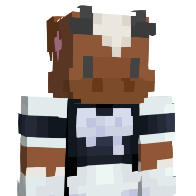 bgbg204's Minecraft Skin