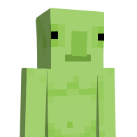 SE5's Minecraft Skin