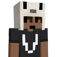 ranpeko's Minecraft Skin
