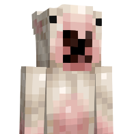 bus50's Minecraft Skin