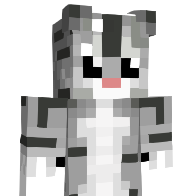 SIBM's Minecraft Skin