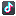 TikTok Icon